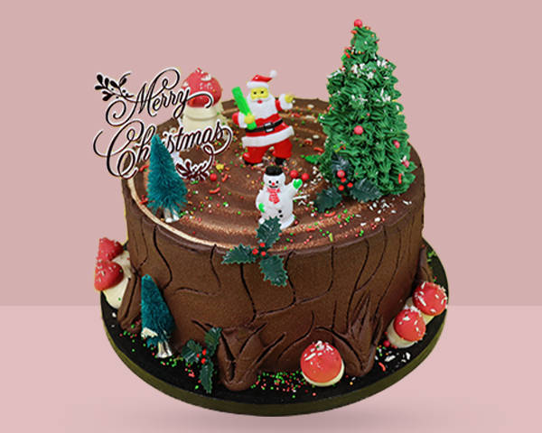 Christmas Paradise Cake