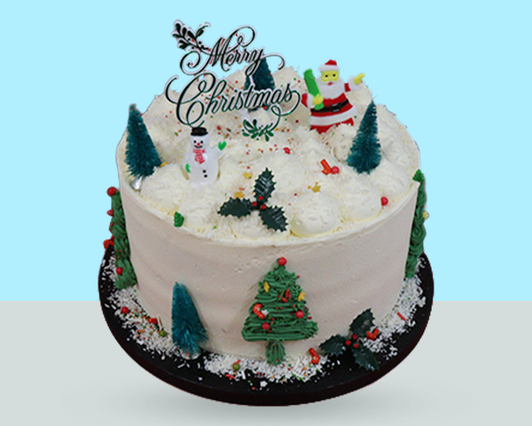 Winter Wonderland Cake