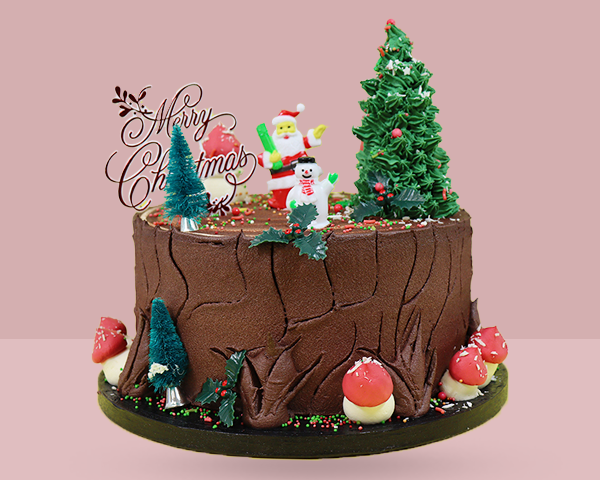 Christmas Paradise Cake