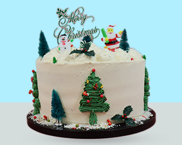 Winter Wonderland Cake